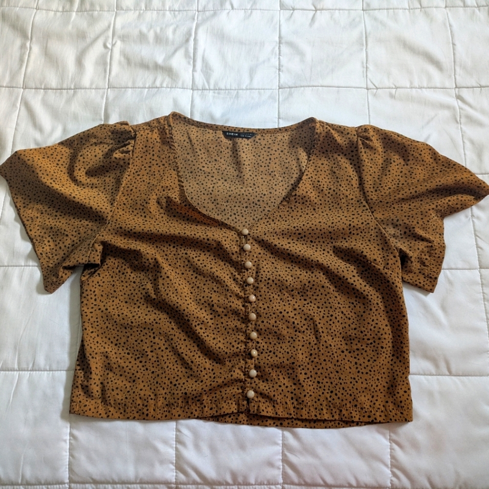 Brown Polkadot Cropped Blouse with Flutter Sleeves